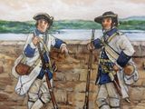 Languedoc Regiment - detail