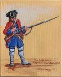 Regiment Irlanda - Musketeer  c.1759